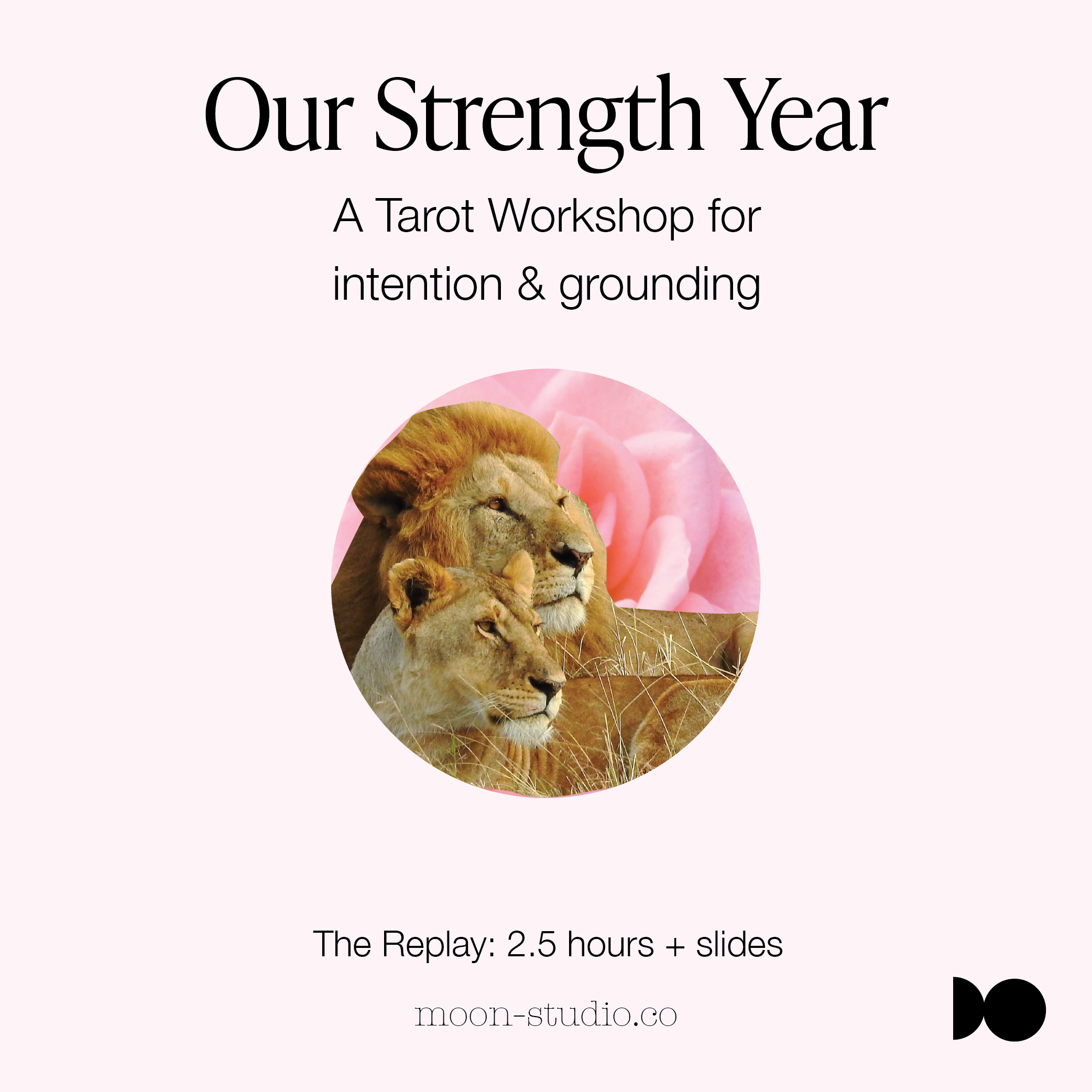 Strength-workshop-replay.png
